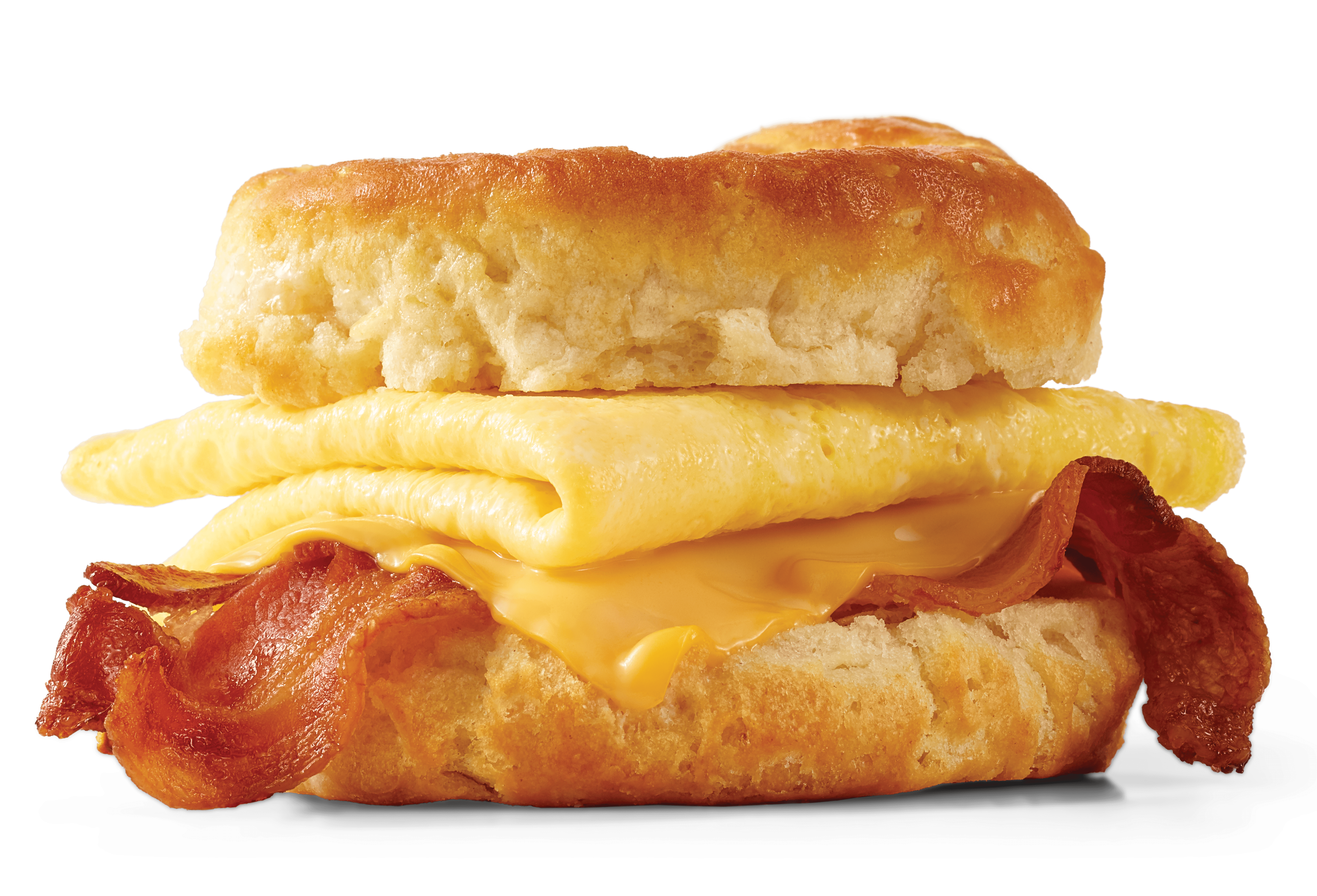 Bacon Egg Cheese Bacon Cheese and Egg